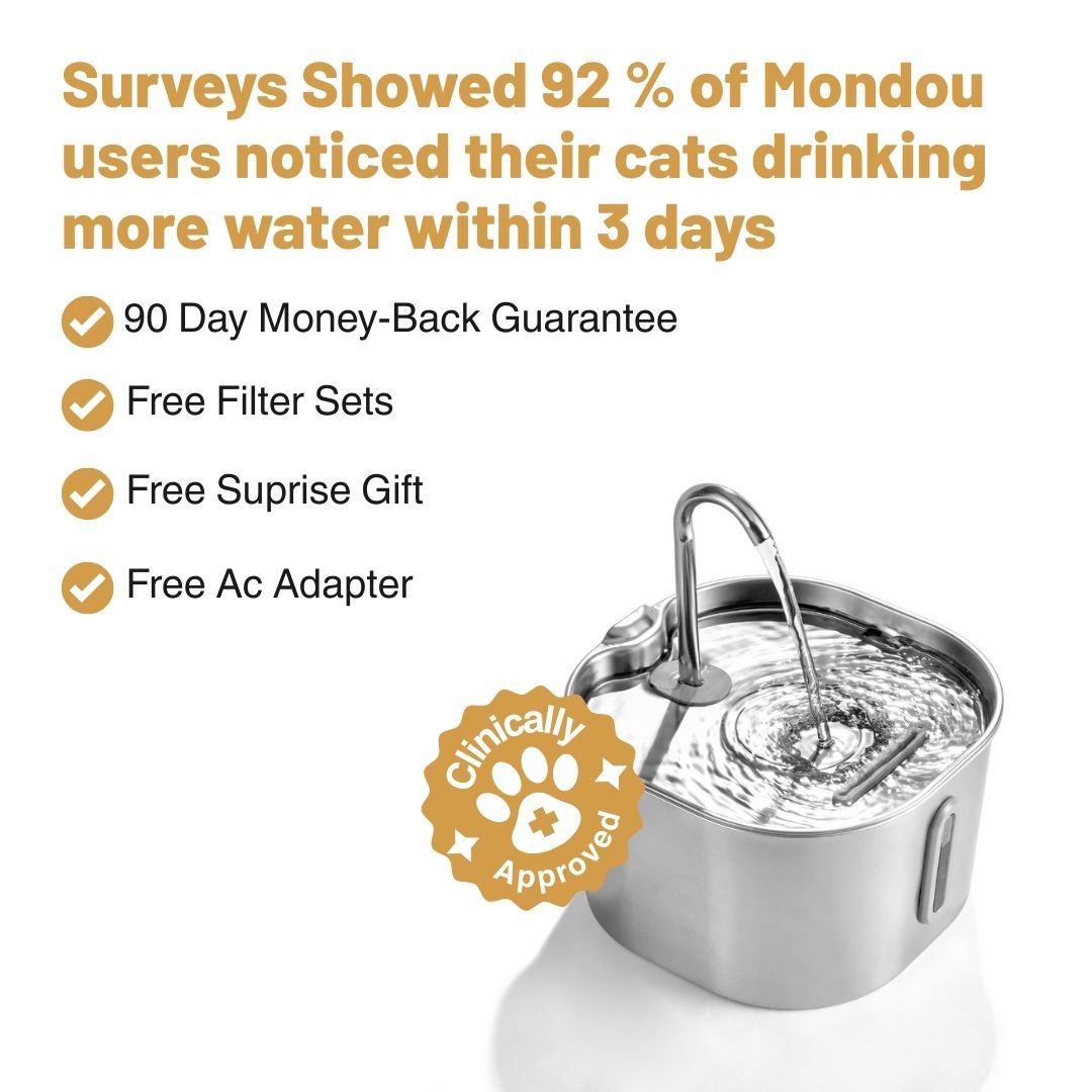 Give Your Cat Years More Healthy Life With Mondou