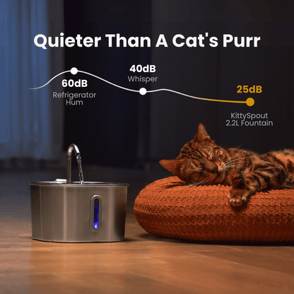 Give Your Cat Years More Healthy Life With Mondou