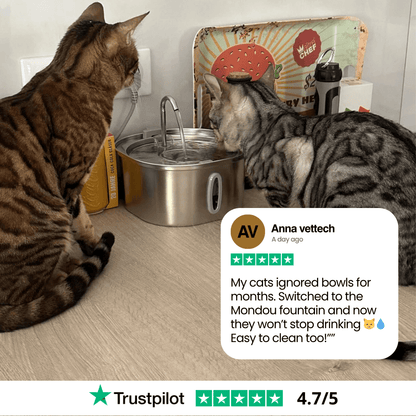 Give Your Cat Years More Healthy Life With Mondou