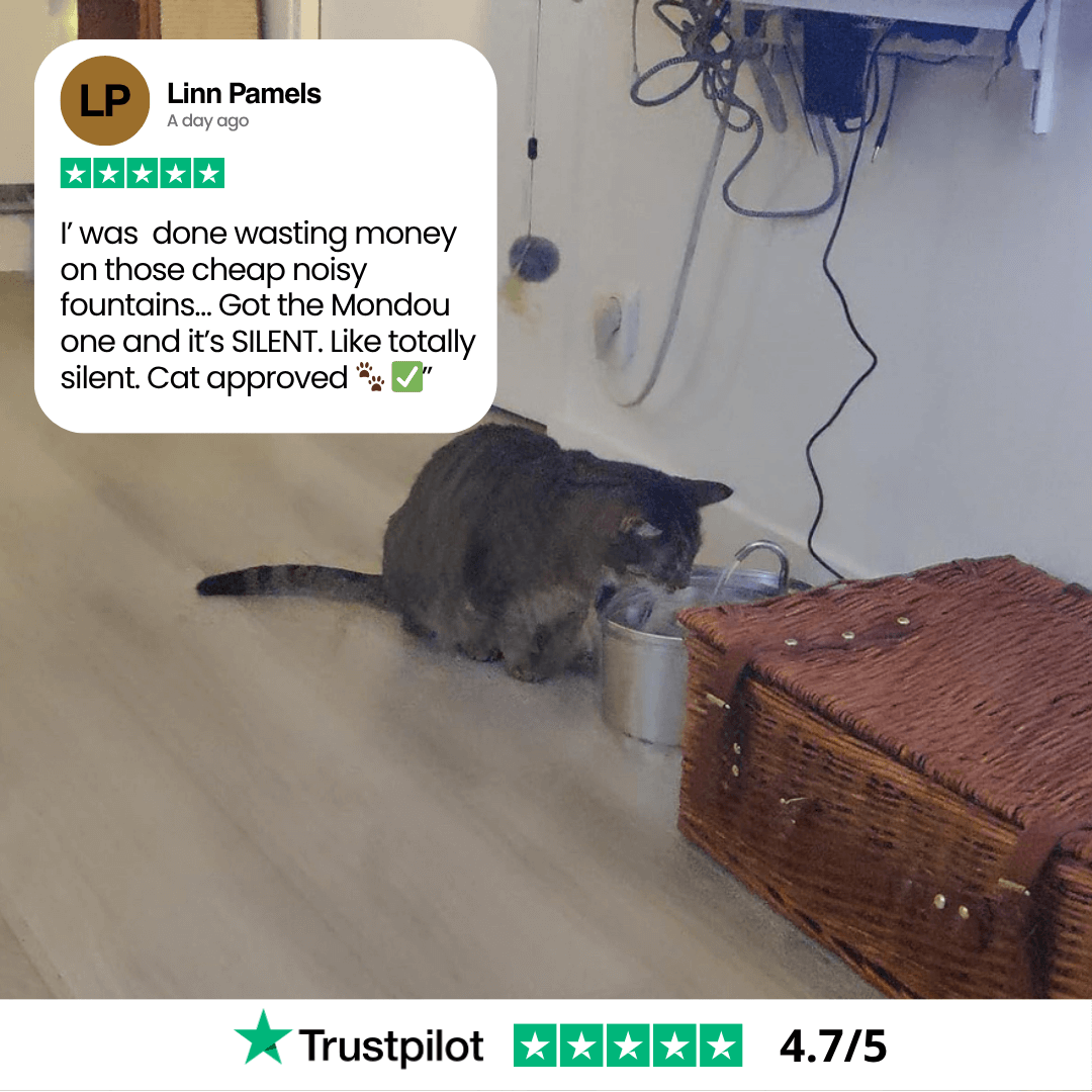 Give Your Cat Years More Healthy Life With Mondou