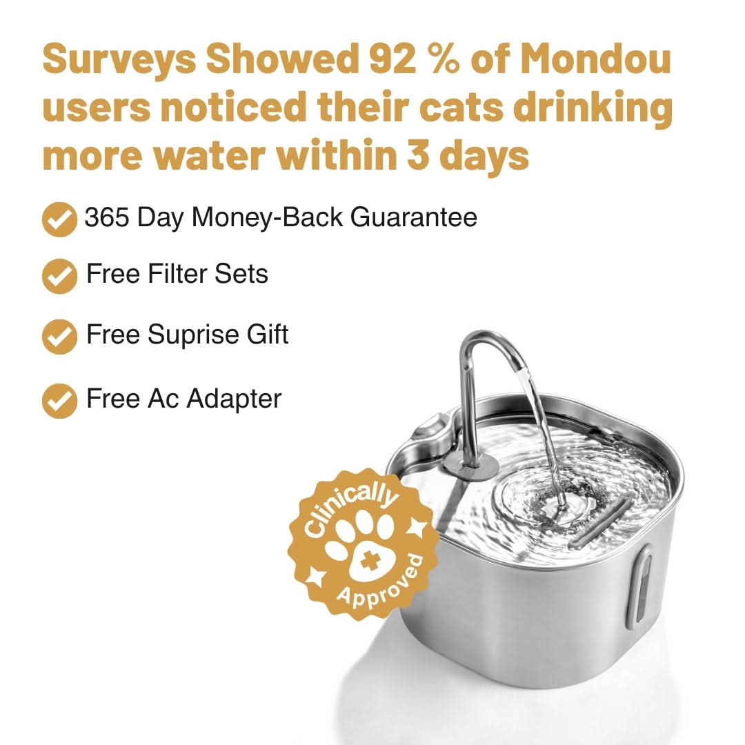 Give Your Cat Years More Healthy Life With Mondou