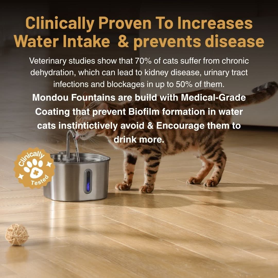 Give Your Cat Years More Healthy Life With Mondou