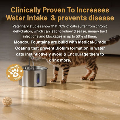 Give Your Cat Years More Healthy Life With Mondou