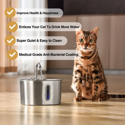 Give Your Cat Years More Healthy Life With Mondou